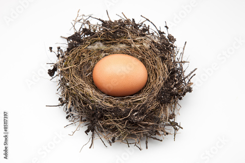 nido con huevo