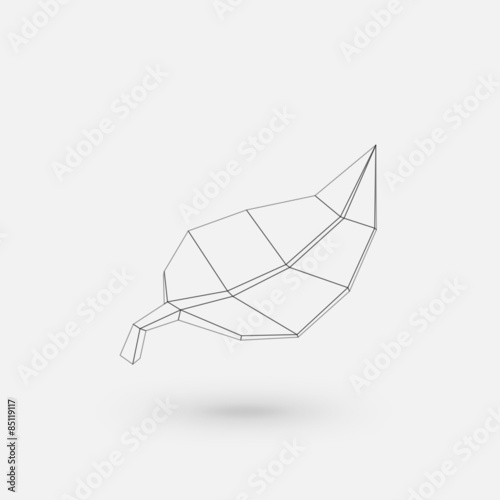 Conceptual polygonal leaf.