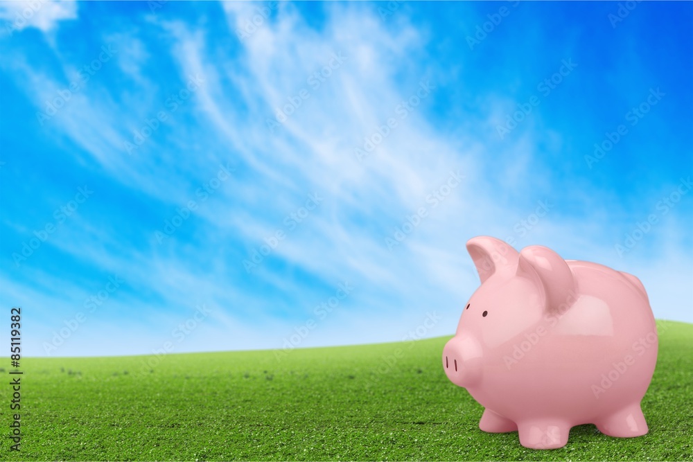 Piggy Bank, Pig, Savings.