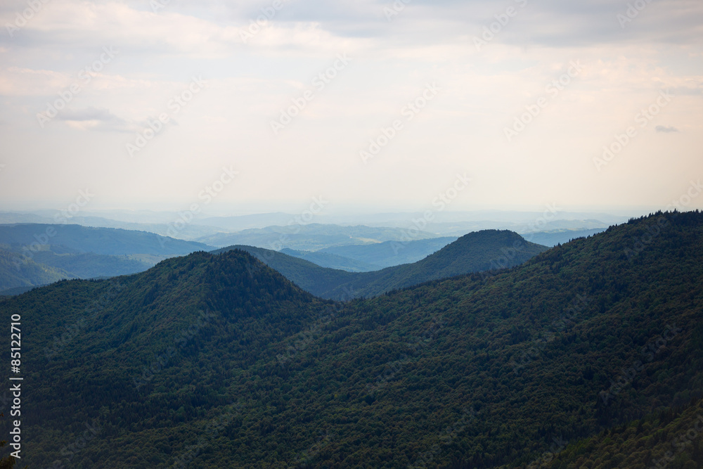 lanscape with mountain virgin forest and hills in the horizon