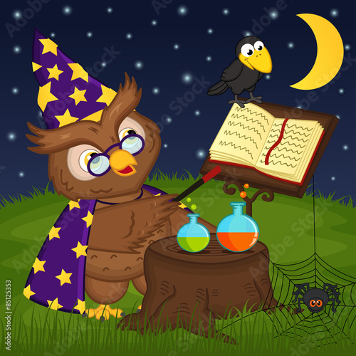 owl wizard - vector illustration  eps