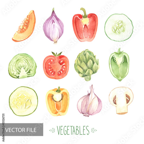 Watercolor vegetables organic vector set