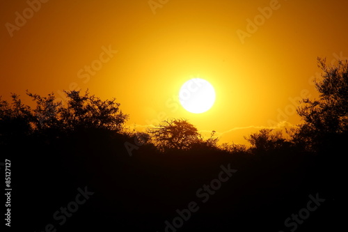 atardecer en el bosque