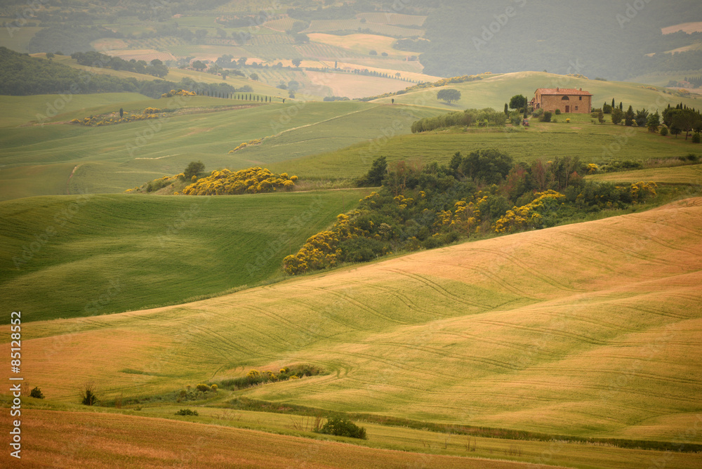 Rolling hills in summer. Val d'Orcia Tuscany