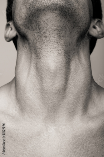 the Adam's apple
