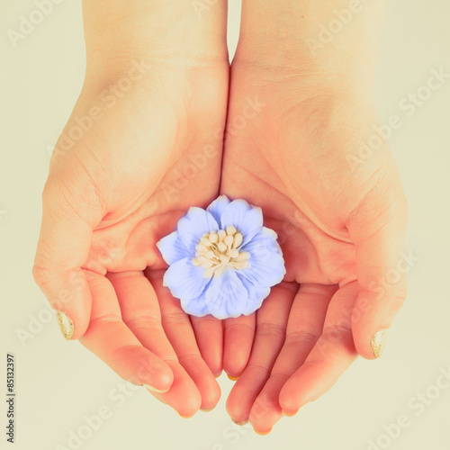 flower in women's hands