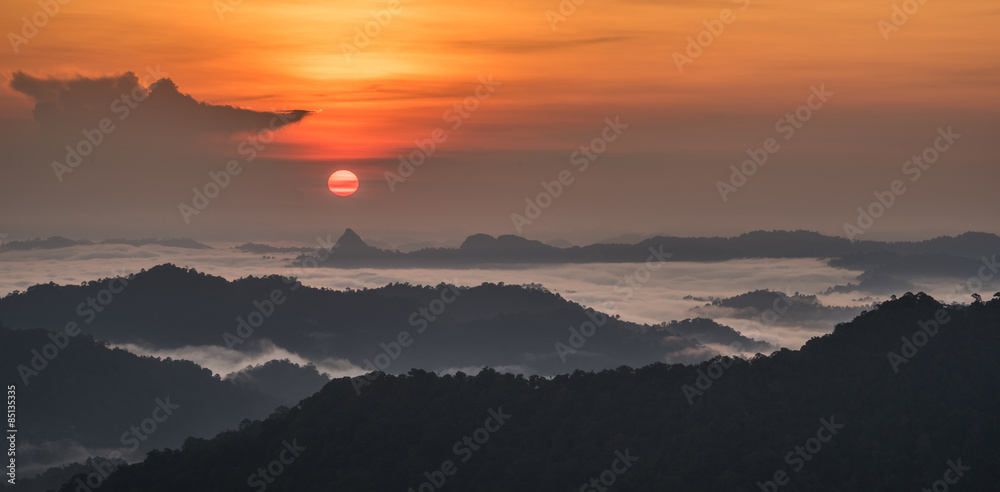 Fototapeta premium sunrise over sea fog