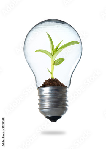 Light Bulb with sprout inside