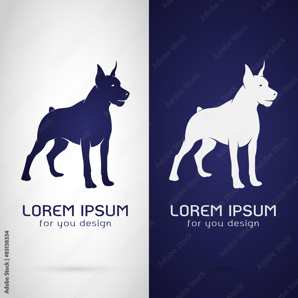 Vector image of an dog design on white background and blue backg