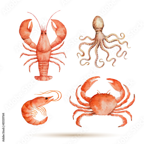 Watercolor set of seafood.