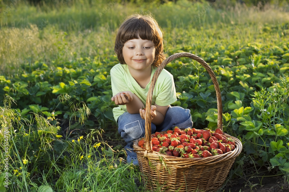 Fototapeta premium cheerful boy with basket of berries