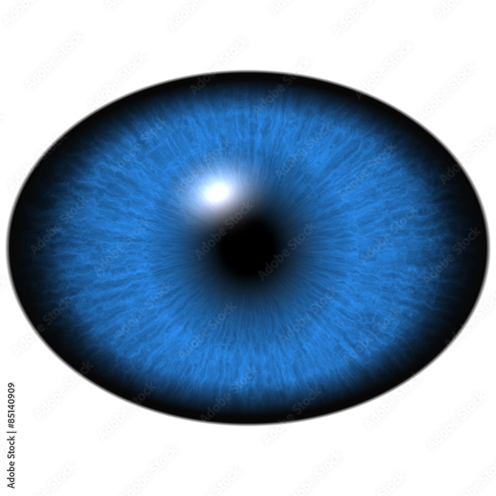 Elliptic blue iris, light reflection in eye Elliptic blue iris, light reflection in eye