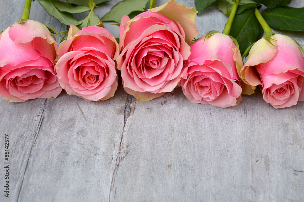 Three pink yellow roses on a old used grey wooden background with empty space