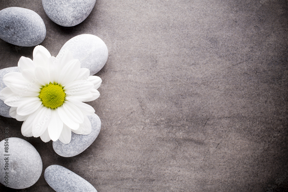 Wellness background. Wellness background.