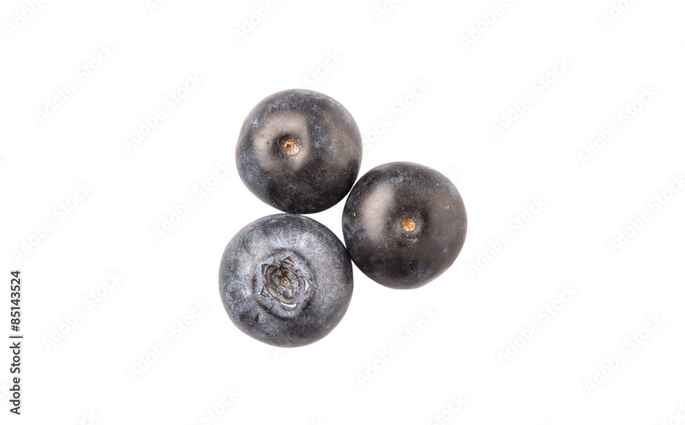 Blueberry fruits on white background Blueberry fruits on white background