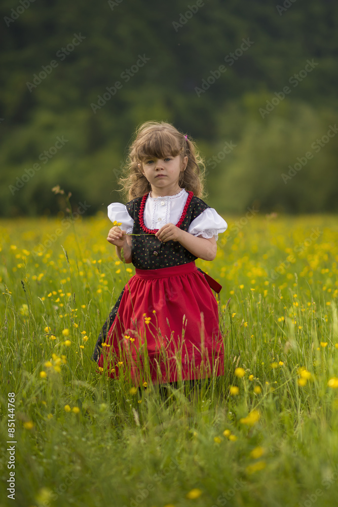 Bambina con abito tradizionale nel campo di fiori
