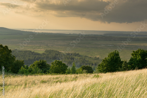 Landscape of Hay Growing and Trees and Forest