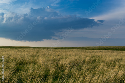 Hay Grass and Stormy Sky