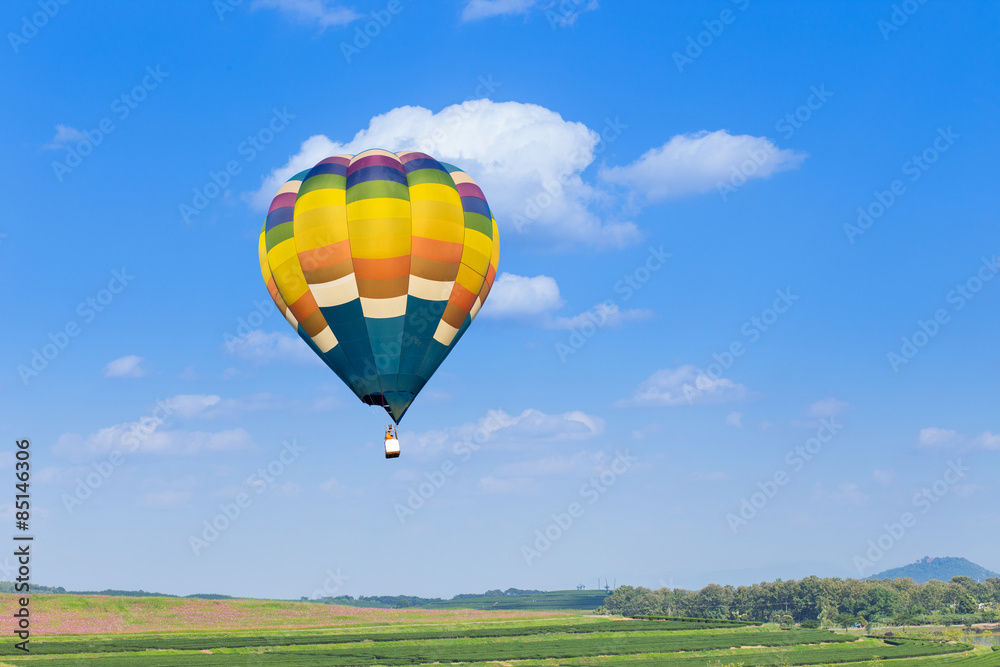 Naklejka premium Hot air balloon over flower fields