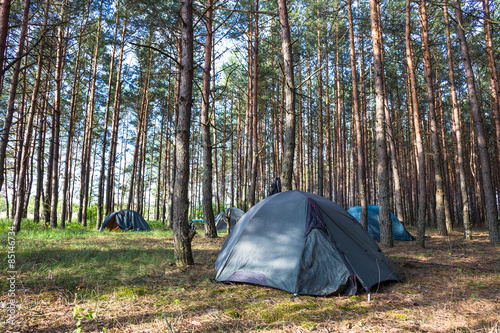 Tent camp in sunny morning lights in green forest
