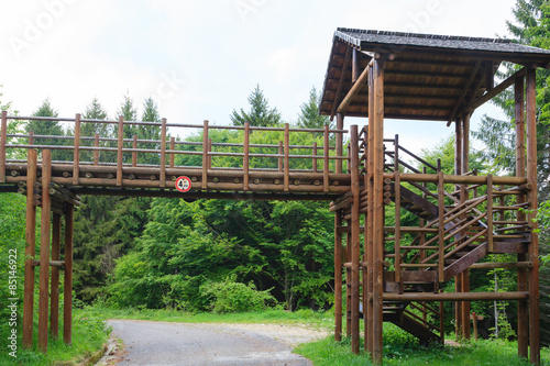 Wooden bridge