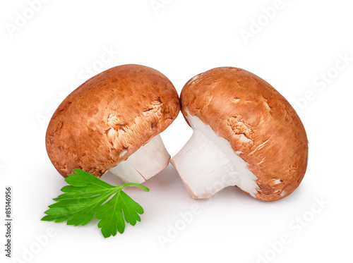 Two champignons with parsley isolated on white background