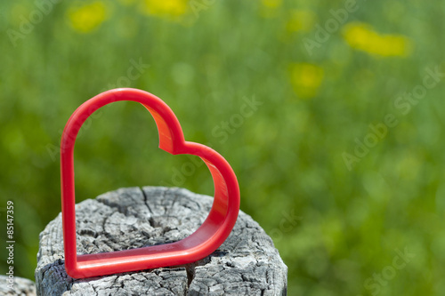 Love concept. Red heart outdoors