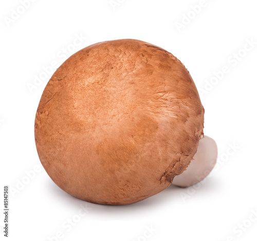 champignon mushroom isolated on white background