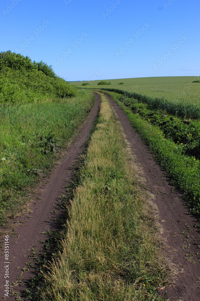 road in a field