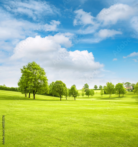 Spring field landscape with green grass, trees and cloudy blue s