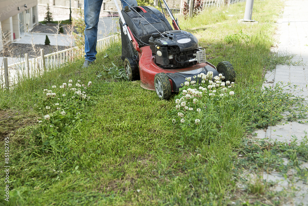 Naklejka Gardener mowing lawn with lawn mover.