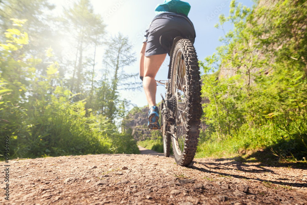 Naklejka premium Mountain biker on a forest trail