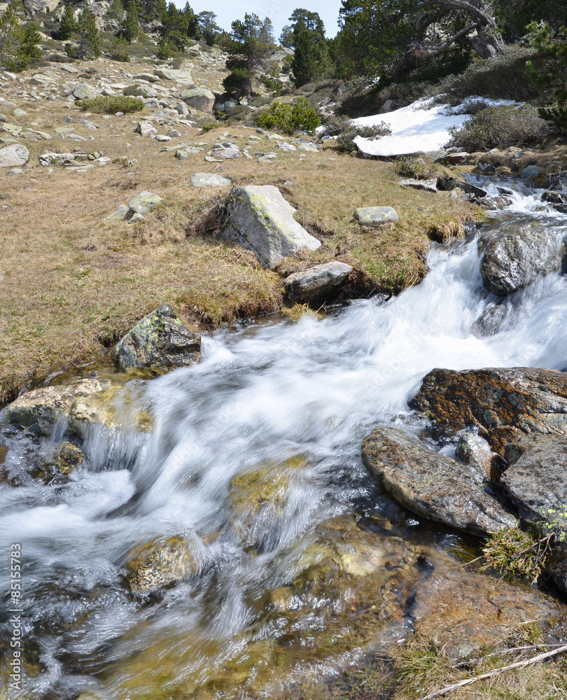 Spring slopes of the Madriu-Perafita-Claror valley