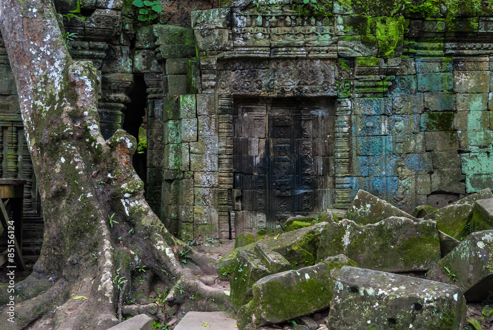 door with bas-reliefs in ruins in the archaeological ta prohm place in siam reap, cambodia
