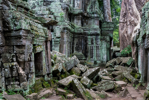 temples or prasat with bas-reliefs in ruins strangulated by a tree "spung" in the archaeological ta prohm place in siam reap, cambodia