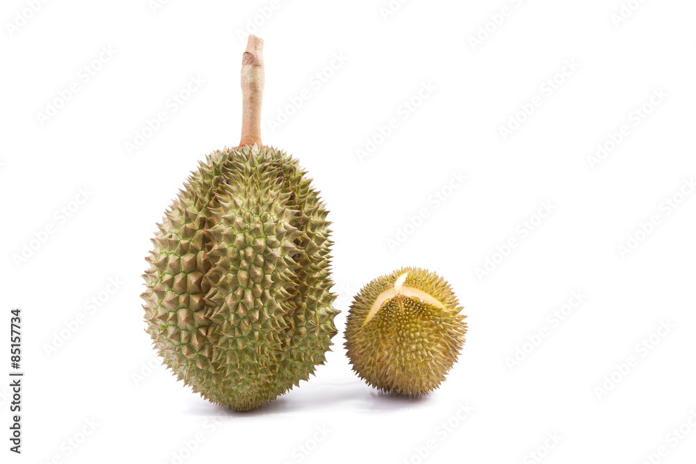 Durian fruit of THAILAND. Durian fruit of THAILAND.