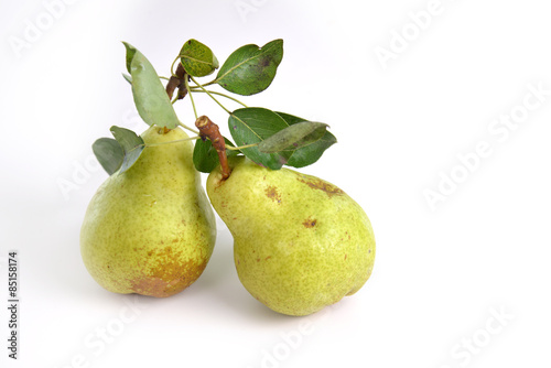 Fresh  ripe pears