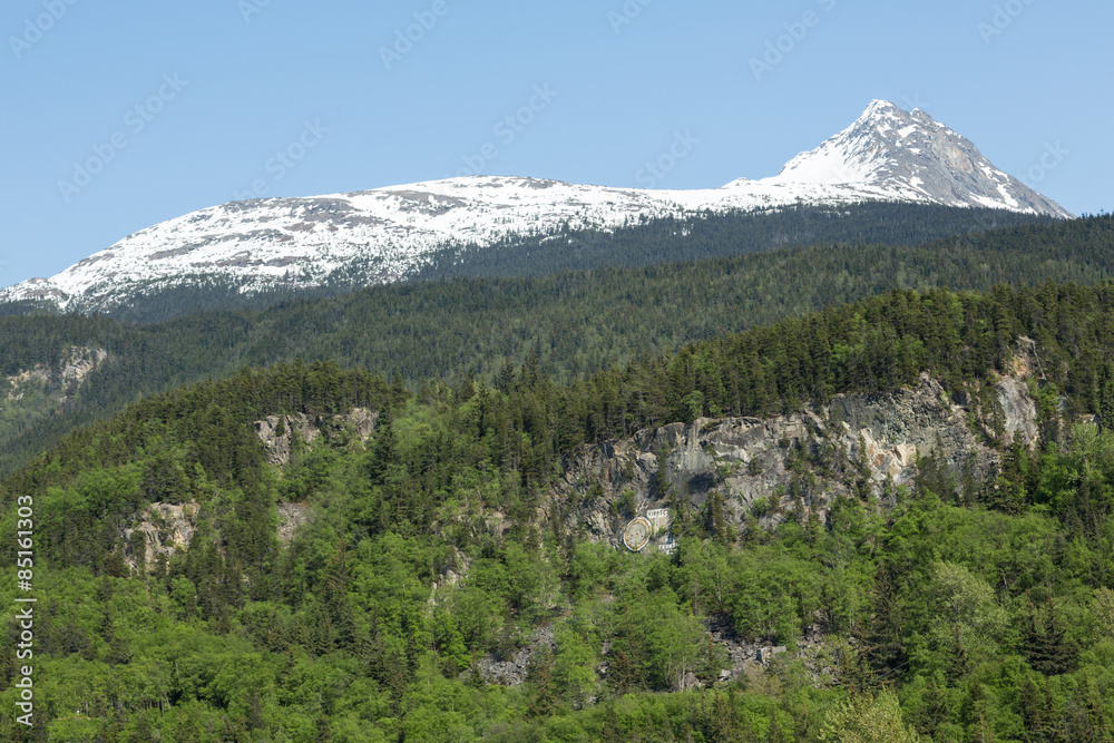 Skagway's Mountains and Forests
