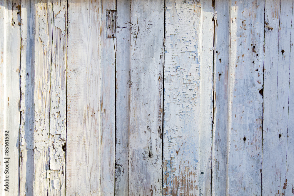 Light wood plank of birch Image of light white wooden wall with birch