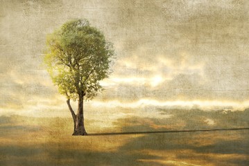 Fototapete Bäume Surreale Landschaft mit einsamem Baum  © imagosrb