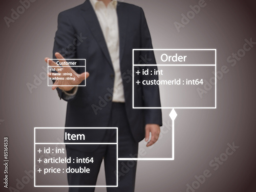 Software Architect