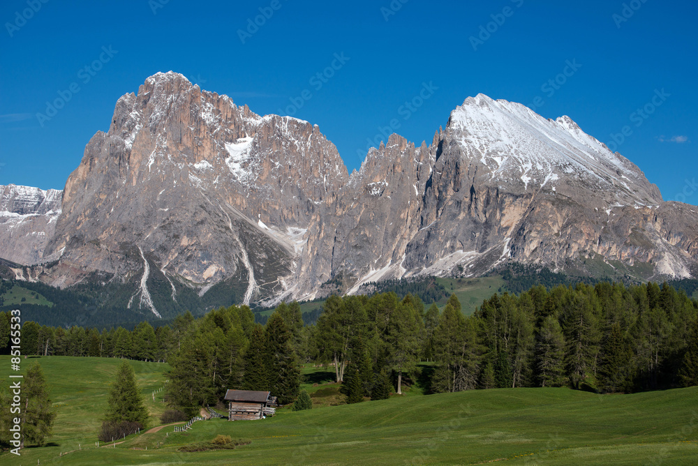 Seiser Alm mit Langkofel und Plattkofel, Südtirol,Italien