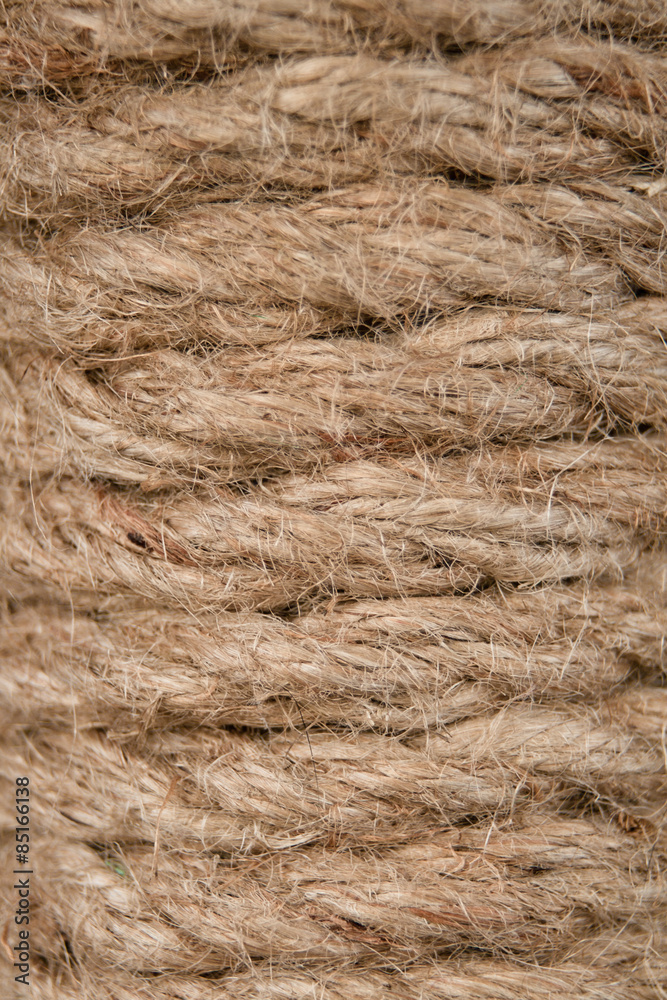 Fototapeta premium strong cord