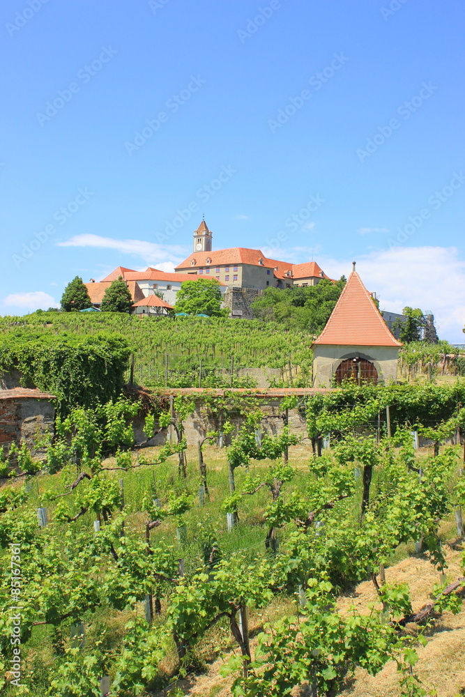 Weingarten vor der Burg Riegersburg in der Steiermark