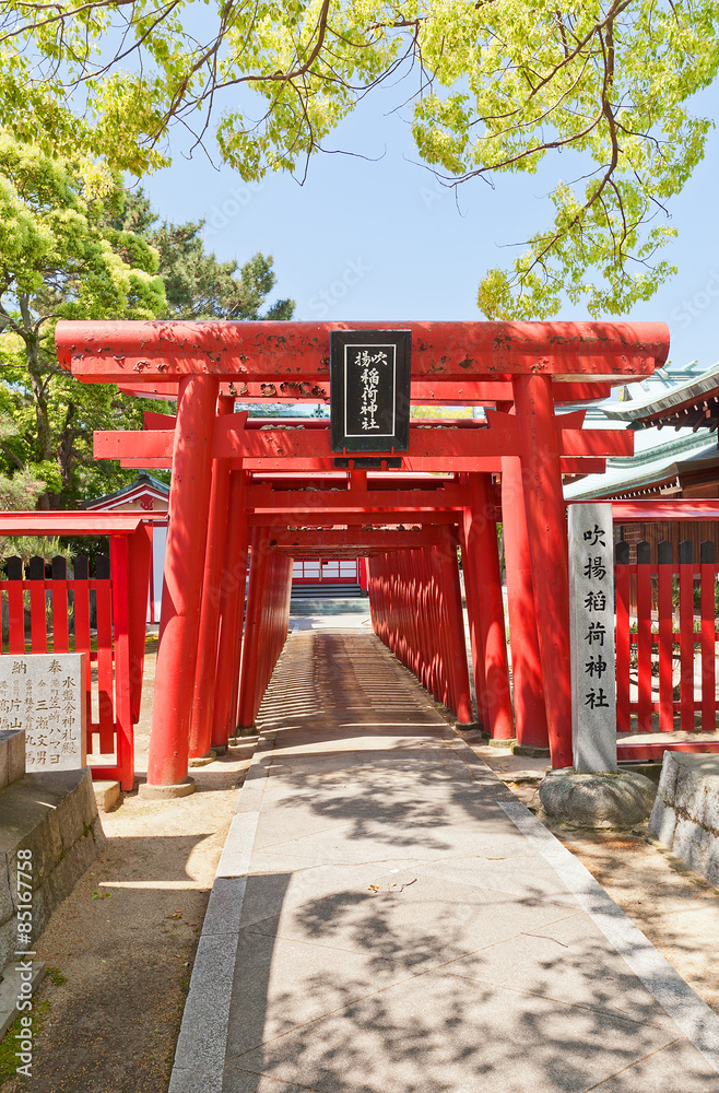 Torii of Fukiage Shinto Srine in Imabari, Japan Torii of Fukiage Shinto Srine in Imabari, Japan