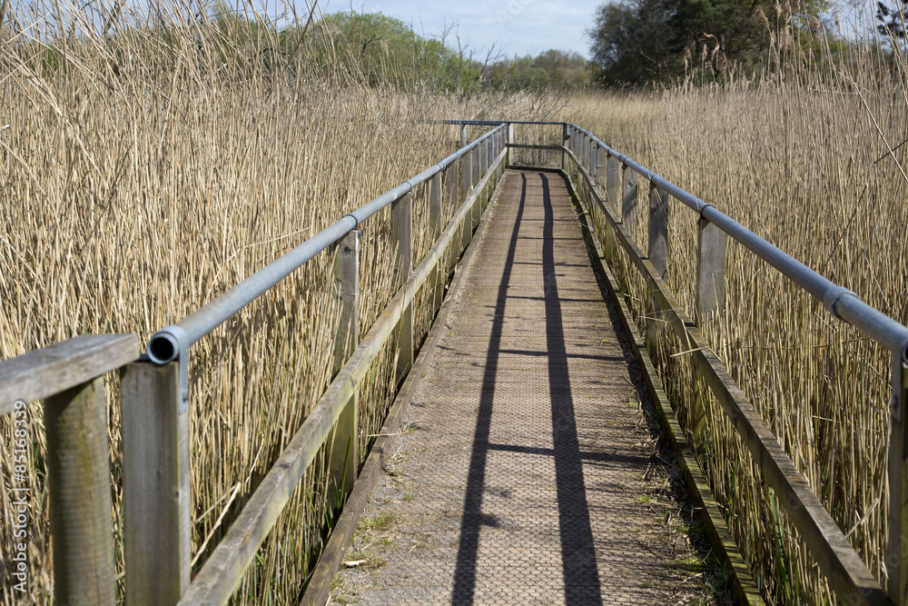 Walkway at the Somerset wetlands wildlife reserve