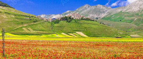 scenic of Italy - Castelluccio di Norcia, blooming meadows. Umbr photo