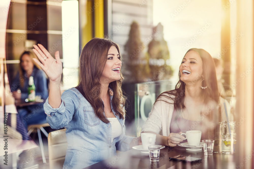 Fototapeta premium Two beautiful women