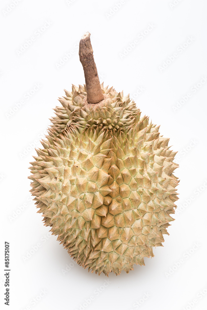 King of fruits, durian on white background King of fruits, durian on white background
