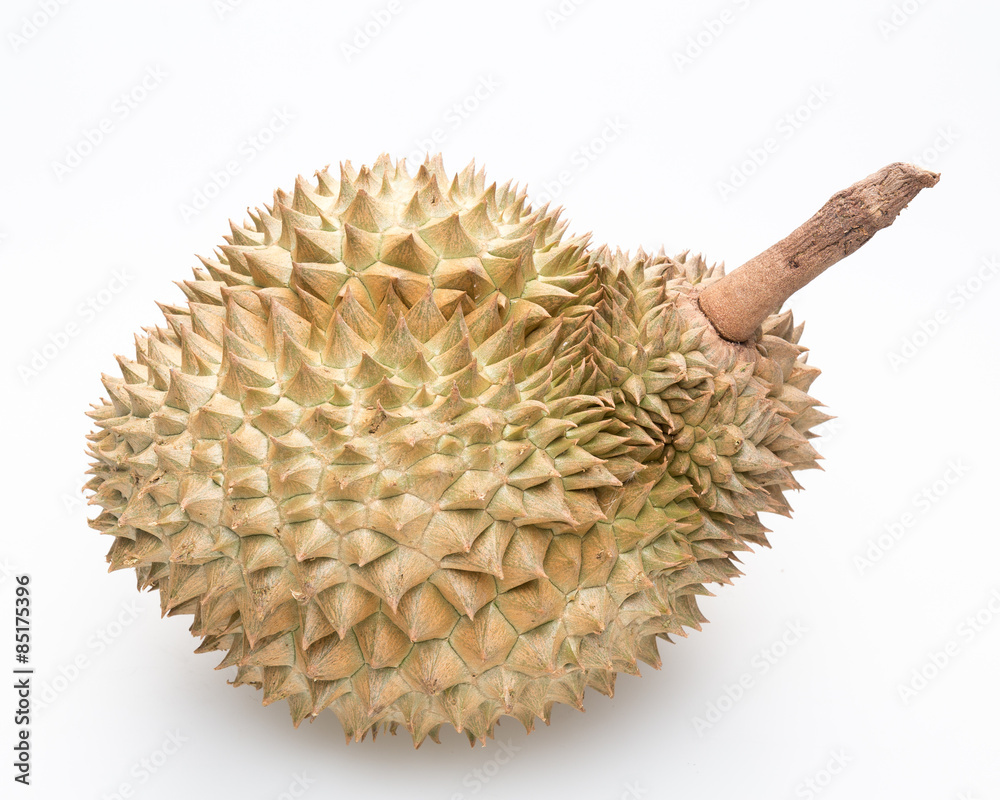 King of fruits, durian on white background